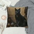 thumbnail image 2 of MDO Black Cat Decorative Throw Pillow Covers Pillows Case Square Cushion Cover Standard Pillowcase for Sofa Couch Bedroom Patio 18 X18 Inch, 2 of 5