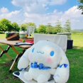thumbnail image 2 of 20pcs Kawaii Cinnamoroll Plush Toy Doll Ornaments Pillow Sanrio Anime Action Figure Sleeping Pillow Beautiful Bow Toy For Kid, 2 of 11