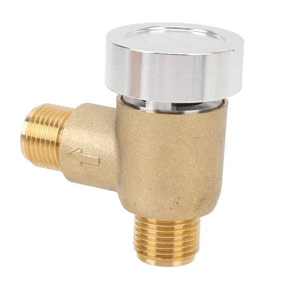 Trailer Flusher Check Valve, Prevent Backflow RV Vacuum Breaker Check Valve Brass 571 VAC CHK A  for Motorhomes