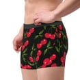 thumbnail image 2 of Susaid Cherry Print Men's Mesh Boxer Briefs Cooling Breathable Sports Underwear Wide Waistband Boxer Briefs W/Fly-Small, 2 of 5