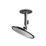 SecurityMan MirrorCam - Surveillance camera - color - CS-mount - DC 12 V