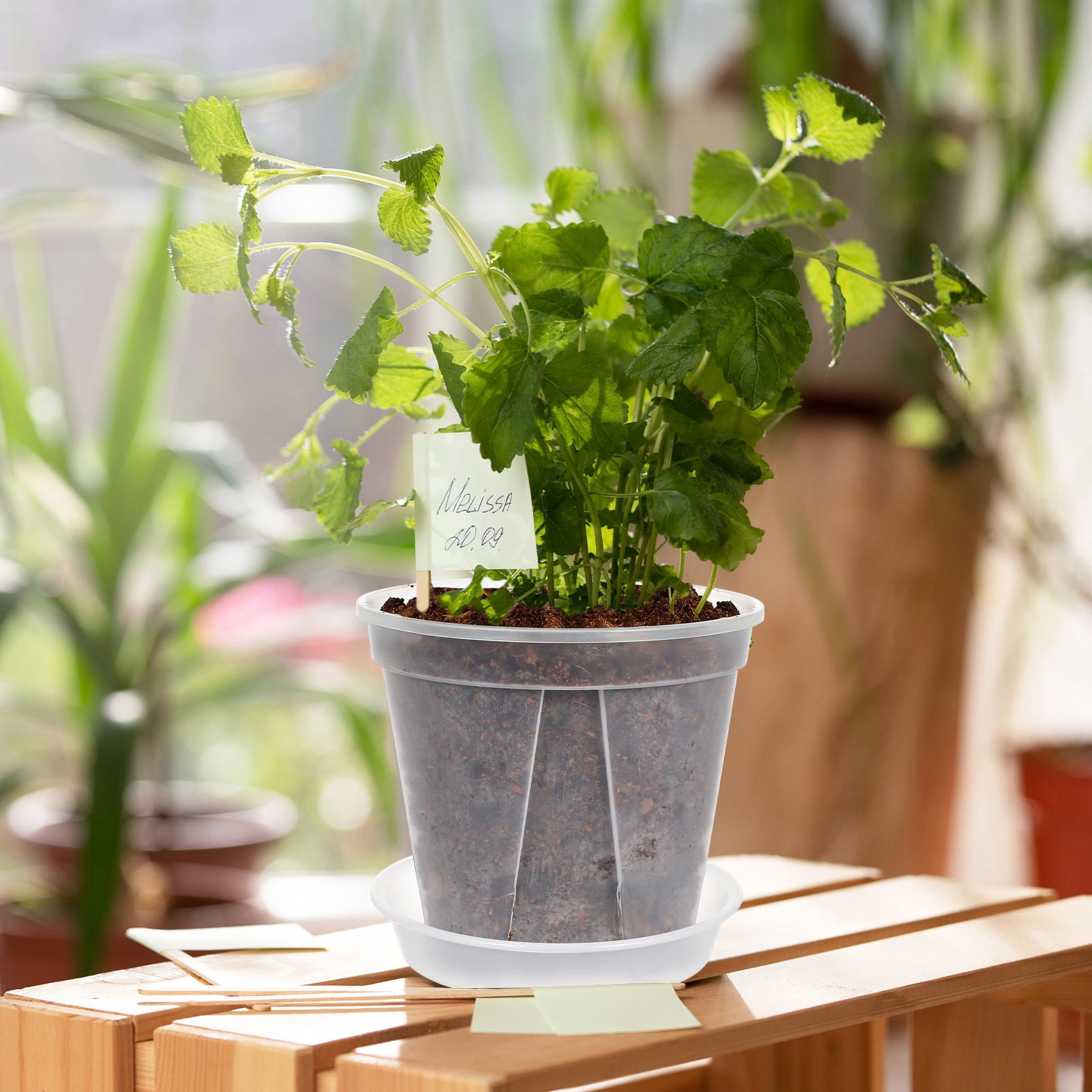 unbranded 4 Pcs Thickened Plastic Flower Pots Square Planter Pots Indoor Root Development Gardening