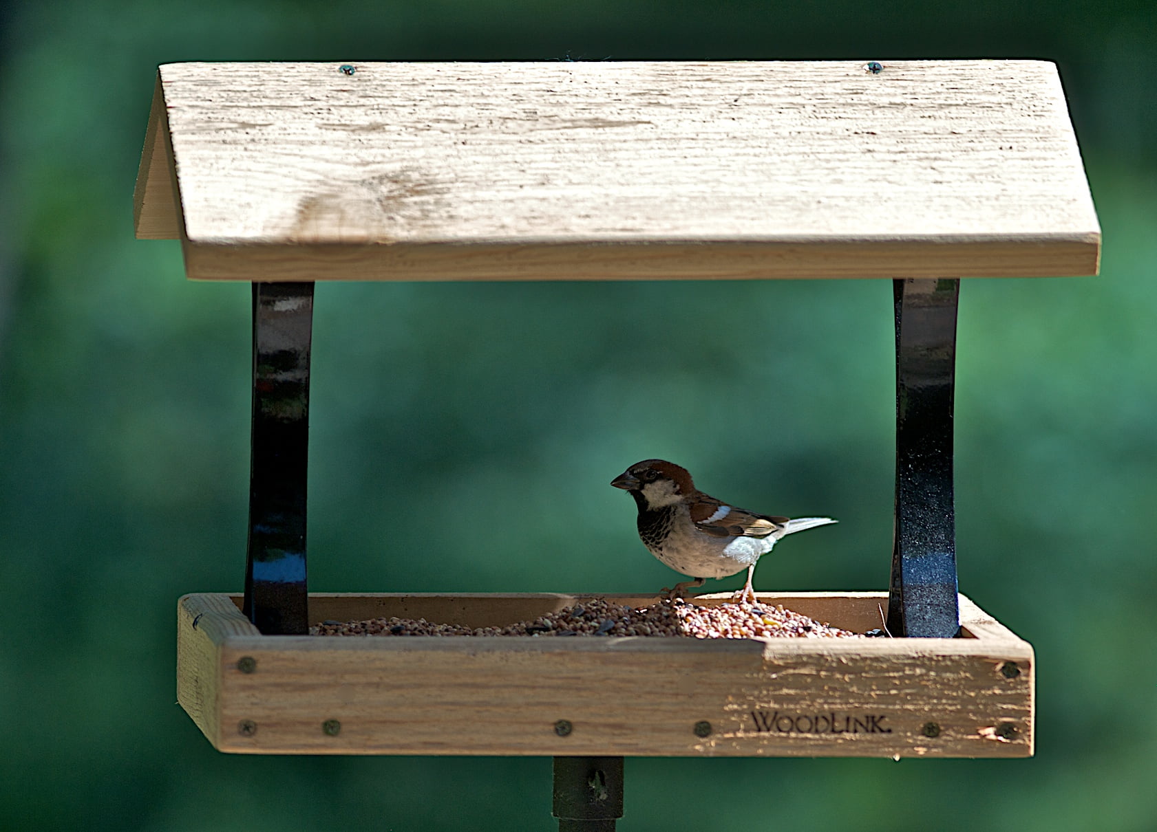 Woodlink Platform Bird Feeder, Cedar and Metal