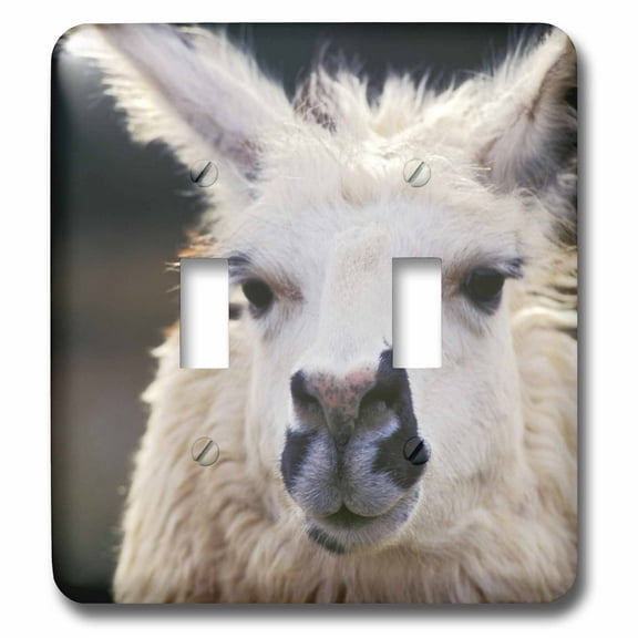 3dRose, Portrait of a llama wildlife - NA02 JMI0015 - Janis Miglavs, double toggle switch