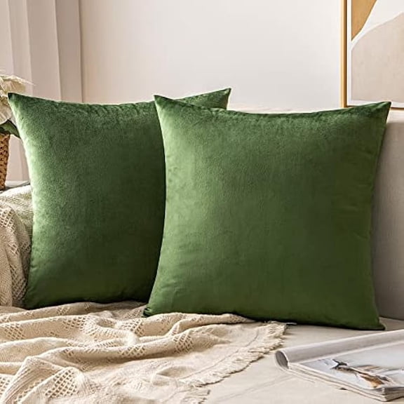 Eryueer Velvet Cushion Covers Soft Decorative Square Throw Pillow Case Pillowcases for Livingroom Sofa Bedroom with Invisible Zipper 16"x16" 40cm x 40cm 2 Pieces Matcha Green