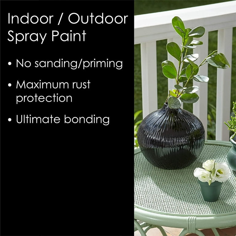 Krylon K02702007 Fusion All-In-One Spray Paint for Indoor/Outdoor Use,  Gloss Black 