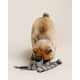 thumbnail image 3 of Correa De Perro Cuerda Correa Entrenamiento Ajustable Cuero, 3 of 3