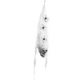 thumbnail image 2 of Labymos 2.78ft Halloween Ghost Hanging Decoration Scary Flying Ghost with Colorful LED Light Spider Skull, 2 of 5