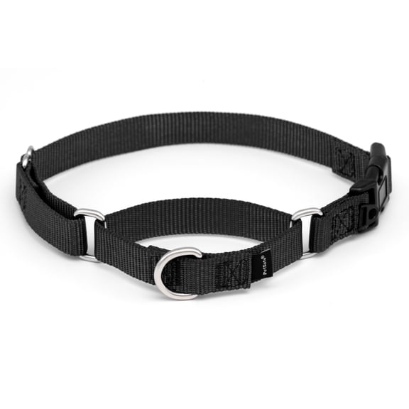 PetSafe Martingale Collar with Quick Snap Buckle