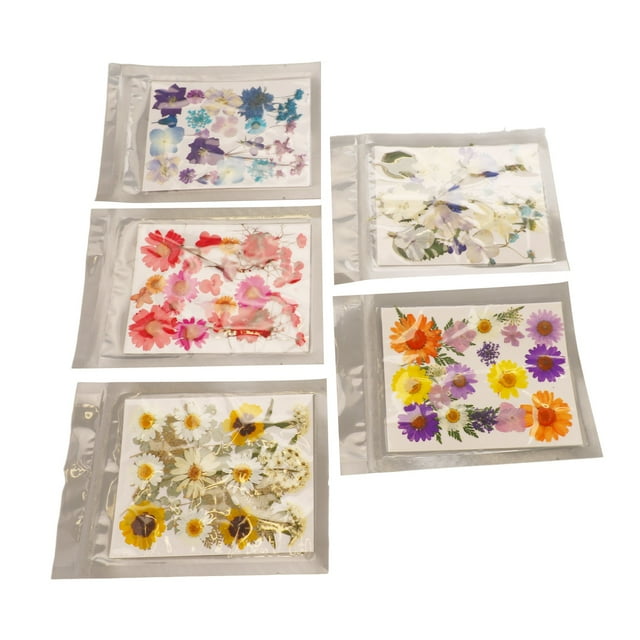 Dried Pressed Flowers,5 Bags Pressed Flowers Colorful Dried Flowers Pressed Flowers Kit User-Friendly Design