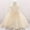 Beige, variant on BLTIBY Baby Girls Dress Party Gown for Photo Shoot Soft Comfortable Elegant Flower Sleeveless Round Neck A Lined Dresses Beige 6-9 Months
