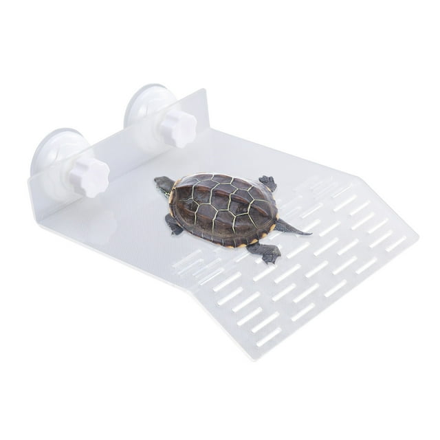 unbranded Plataforma De Acrílico Para Reptiles Con Ventosas Clásico Natural