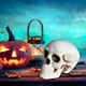 thumbnail image 4 of Halloween Skeletons Plastic Realistic Fake Simulation Human Skull HeadBone Model Halloween Prop Realistic Mini Skeleton Spooky Halloween Decoration, 4 of 5