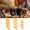 Yellow, variant on Adjustable Poultry Leg Correction Bands For Chickens Quails Birds Training Support Pet Supplies