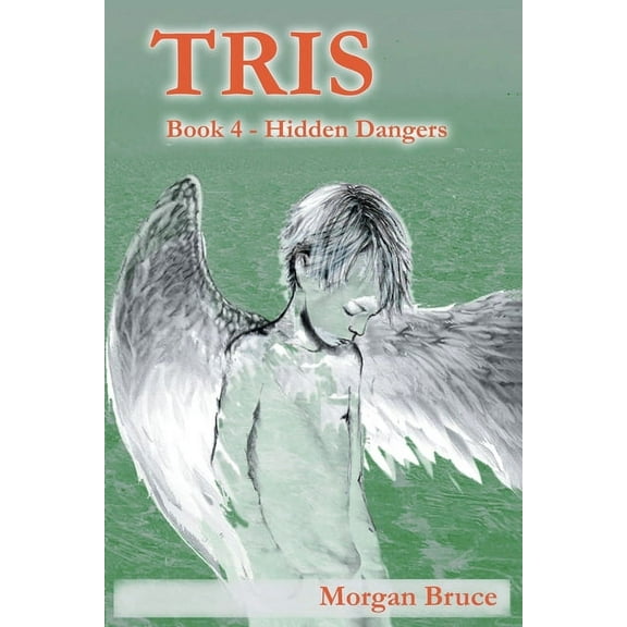 Tris 4: Hidden Dangers, (Paperback)