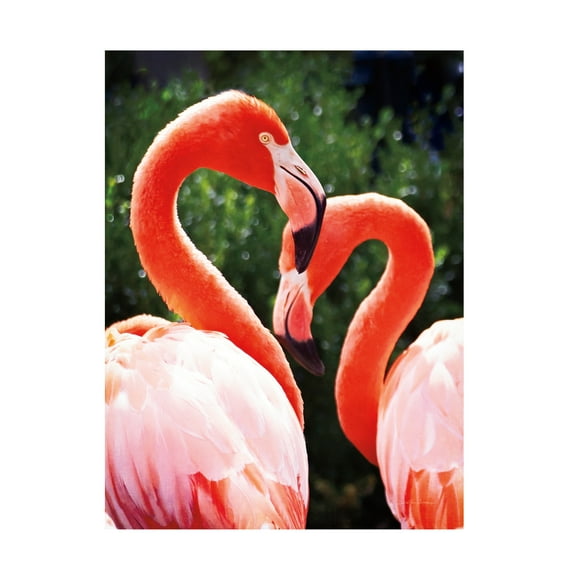 Pela Studio 'Coastal Farmhouse IV' Canvas Art