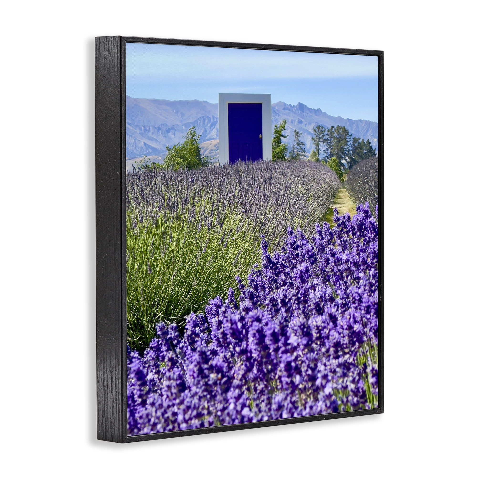 Stupell Industries Surreal Doorway Landscape Landscape Photography Black Framed Art Print Wall Art, 11 x 14