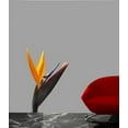thumbnail image 2 of Hollis Yellow Bird of Paradise Wall Decal Cutout, 2 of 2