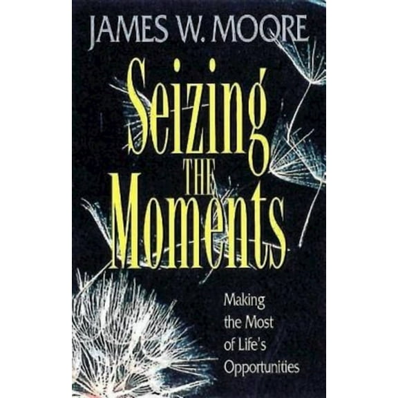 Seizing the Moments (Paperback)