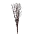 thumbnail image 2 of BalsaCircle 6 Natural Extra Long 46" Decorative Birch Tree Branches Vase Fillers Rustic Dried Twigs Sticks Wedding Party, 2 of 8