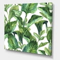 thumbnail image 3 of Designart ' Foliage Of Tropical Leaves On White ' Tropical Canvas Wall Art Print, 3 of 4
