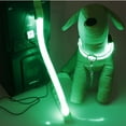 thumbnail image 6 of Gustave LED Dog Cat Collar Nylon Glow Flashing Light Up Night Safety Reflective Pet Collars USB Rechargeable with 3 Glowing Modes "Blue, S", 6 of 7