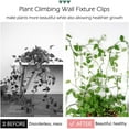 thumbnail image 2 of 100 pcs Plant Climbing Wall Fixture Clips Self-Adhesive Hook Vines Traction Clips Invisible Holder Garden Green Leaf Simulation Self-Adhesive Hook Wire Fixing Supporting, 2 of 6