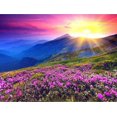 thumbnail image 1 of Sunrise in a Flower Hill - DIY Diamond Painting, 1 of 6