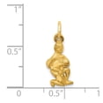 thumbnail image 3 of 14K Yellow Gold Charm Pendant Themed 20 mm 8 Aquarius Zodiac, 3 of 3