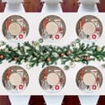 thumbnail image 6 of GZHJMY Christmas Gnome Placemats 4Pcs,Holidays PVC Weave Place Mats Table Mats Non-Slip Easy to Clean for Home Kitchen BBQ Party Table Decor,15.4", 6 of 6