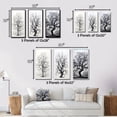 thumbnail image 4 of Designart "White Tree gracefulness Landscape" Floral & Botanical Wall Art Set Of 3 - Grey Tree Monochrome Gallery Set For Office Decor, 4 of 7