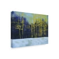 thumbnail image 2 of Trademark Fine Art 'Golden Winter Pines' Canvas Art by Paul Bailey, 2 of 4