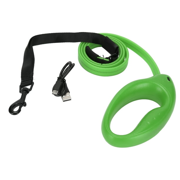 Light Up Dog Leash 4 Feet USB Rechargeable LED Nylon Dog Leash with Universal Collar for Small and Large Dogs Green