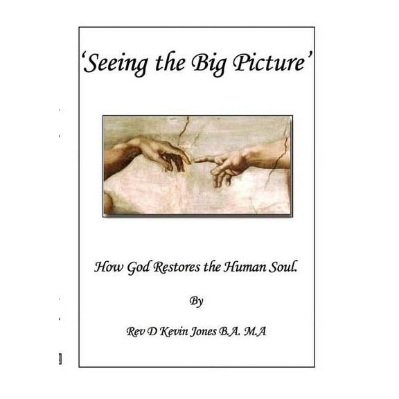 Seeing the Big Picture Paperback