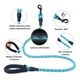 thumbnail image 5 of Wolfi Set De 2 Correas Para Perro De 1.5 M Con Plato Plegabl Color Negro Y Azul, 5 of 6