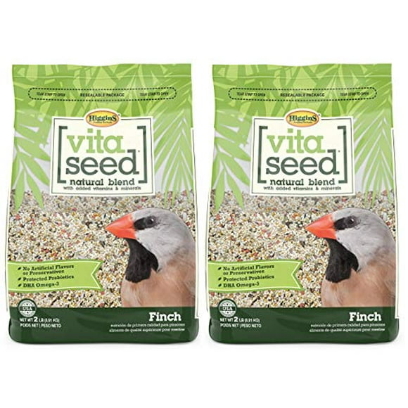 Finch Bird Seed