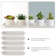 thumbnail image 4 of LEORX 5Pack Serving Tray for Planter Rectangular Beige Plastic Water Collection Kitchen, 4 of 8