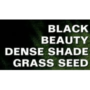 Jonathan Green Black Beauty Dense Shade Mixed Sun/Partial Shade Grass Seed 3 lb. - Case of: 1;