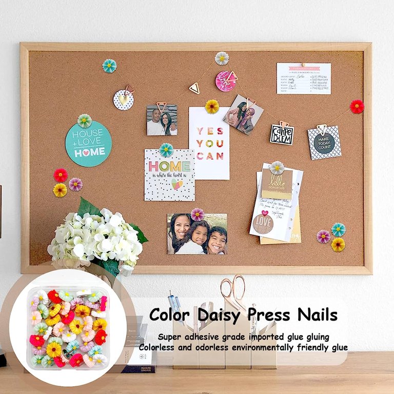 Drawing Pins Thumb Tacks Round Head Paper Hold Push Pins for Office Home,  School