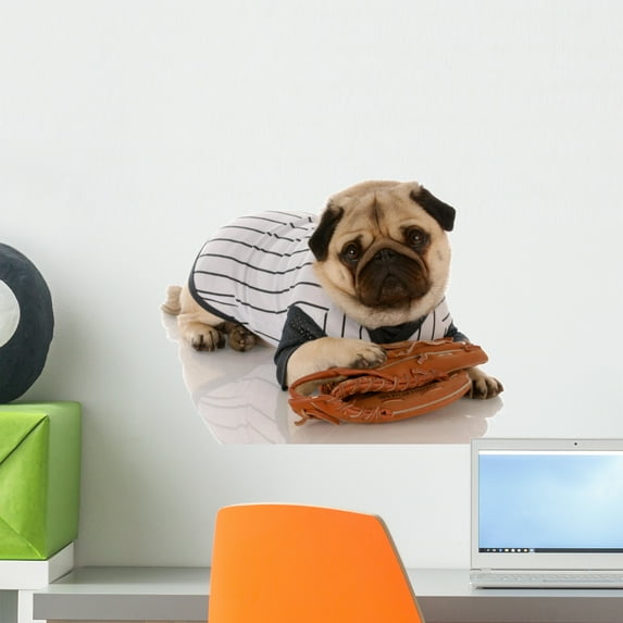 Pug Dog Dressed up Wall Mural by Wallmonkeys Peel and Stick Graphic (18 in W x 14 in H) WM331765