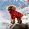 thumbnail image 4 of Gytml Winter Dog Coat, Waterproof Dog Jacket, Warm Full Body Dogs Snowsuit, Outdoor Cold Weather Pet Coat With A Pullover Style, Easy To Wear Red-L, 4 of 5