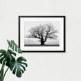 thumbnail image 3 of Black and White Nature Photograph of an Old Branchy Tree in a Misty Morning Landscape Framed Wall Art Print Picture 12X16 inch, 3 of 4
