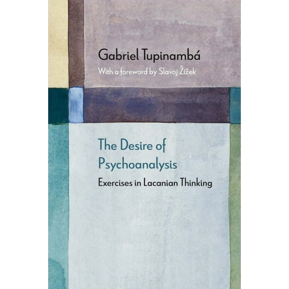 Diaeresis: The Desire of Psychoanalysis : Exercises in Lacanian Thinking (Paperback)