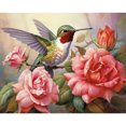 thumbnail image 1 of Kit Pintura Por Números Sobre Lienzo Arte Al Óleo Artesanal Imagen Hibisco Del 50x40cm, 1 of 9