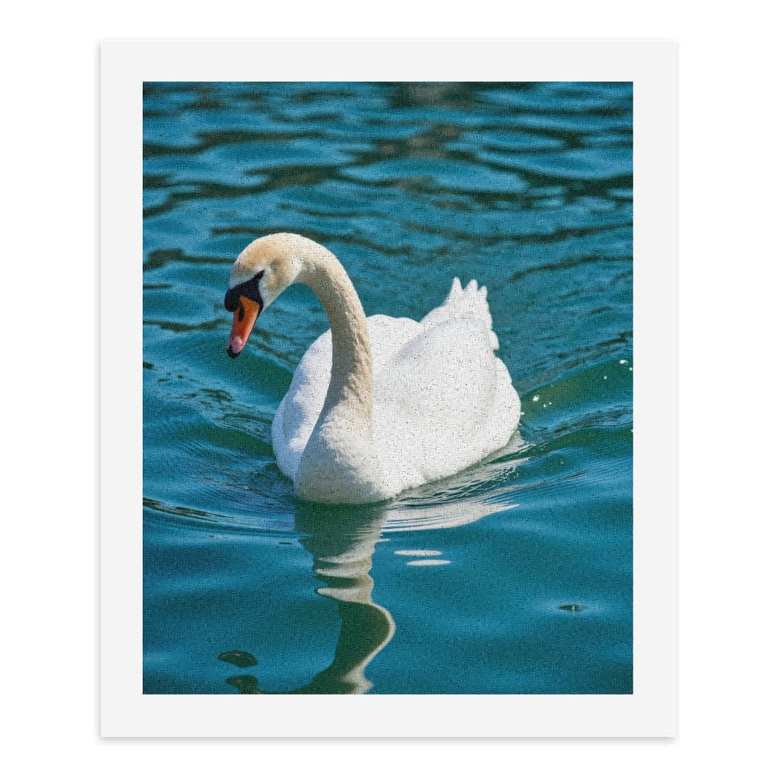 Paint by Numbers Kit for Adults, Graceful Swan Reflective Water Paint by Numbers, Easy Paint by Numbers Kit for Adults Beginner, DIY Adult Paint by Number Kits on Canvas, 12x16in Home Decor