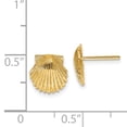 thumbnail image 3 of 14k Yellow Gold Scallop Shell Earrings Ball Button Animal Sea Life, 3 of 7
