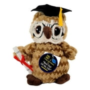 Animated Graduation Dancing Owl (Brown, Plays Best Day of My Life, 7 in) Cap Gown Diploma Musical