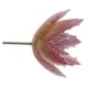 thumbnail image 3 of Plantas Suculentas Artificiales Hierba Desierto DIY Paisaje Flores Hogar Jardín Decoración Macarena Planta Artificial, 3 of 7