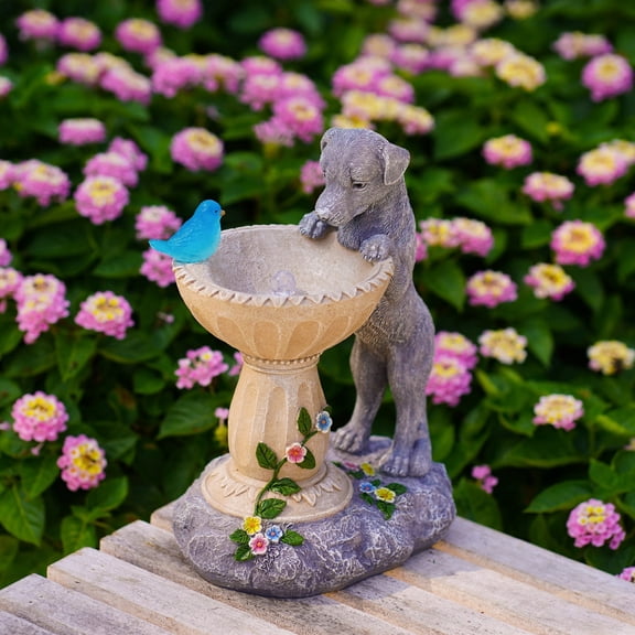Solar Dog Statues for Bird Bath - Outdoor Sculptures for Garden Yard Balcony Porch