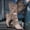 Beige, variant on Cameland Women Fashion Cowboy Riding Boots Casual Warm Middle Heels Middle Tube Boots Shoes